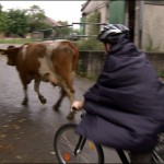 TronjeFahrrad9